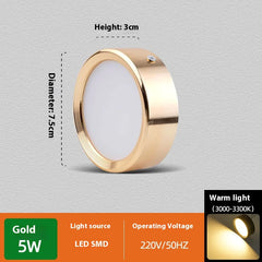 Non-Perforated Ceiling Light