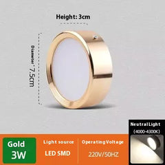 Non-Perforated Ceiling Light