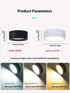 Non-Perforated Ceiling Light