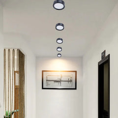 Non-Perforated Ceiling Light