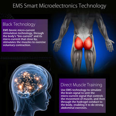 Diagram of EMS smart microelectronics technology with brain and muscle illustrations.