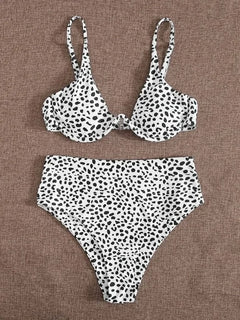 Leopard Print High Waist Bikini
