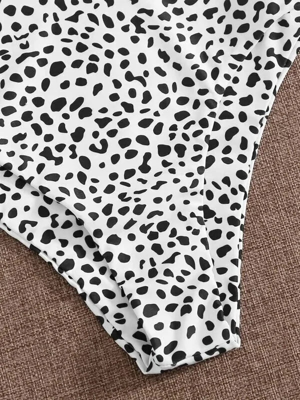 Leopard Print High Waist Bikini