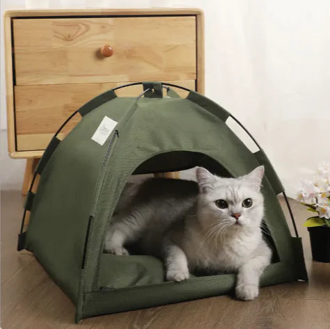 Cat inside a green pet tent on a wooden floor with a wooden drawer in the background.