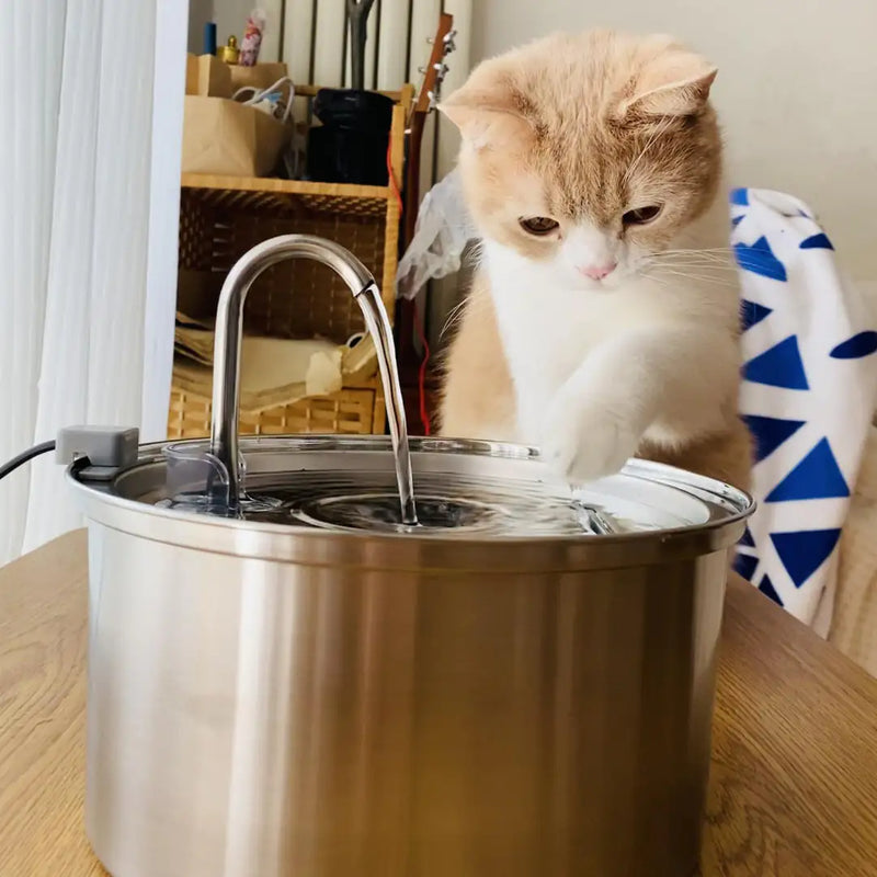 A silver cat water fountain with a continuous flow of water, and a cat sitting beside it, looking at the water.