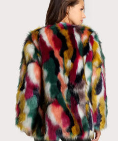 Color Fur Coat